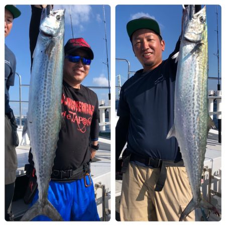 ビッグファイター 釣果