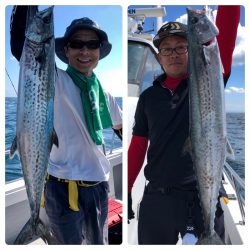 ビッグファイター 釣果