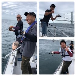 ビッグファイター 釣果