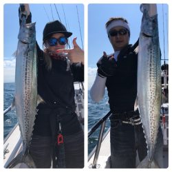 ビッグファイター 釣果