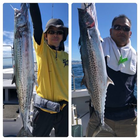 ビッグファイター 釣果