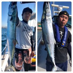 ビッグファイター 釣果