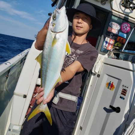 シーライオン 釣果