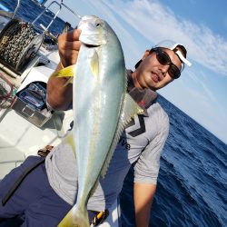 シーライオン 釣果