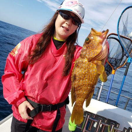 シーライオン 釣果