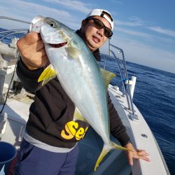 シーライオン 釣果