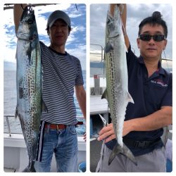 ビッグファイター 釣果