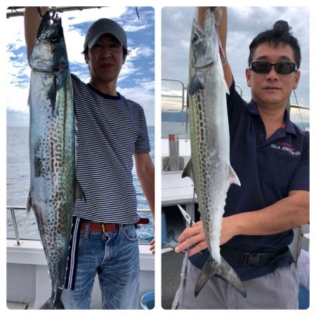 ビッグファイター 釣果