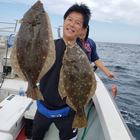 シーライオン 釣果