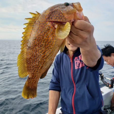 シーライオン 釣果