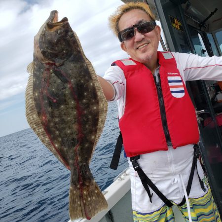 シーライオン 釣果