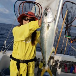 シーライオン 釣果