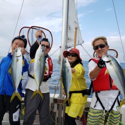 シーライオン 釣果