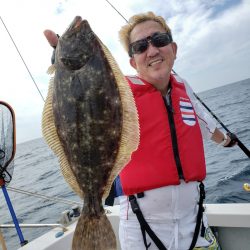 シーライオン 釣果