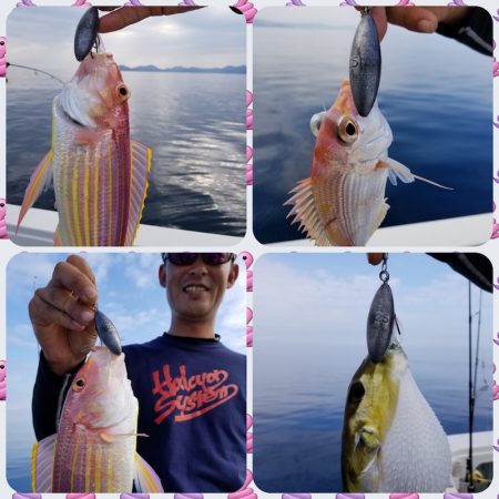 アマテラス 釣果