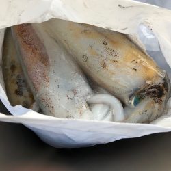 あみや渡船 JIGBOY 釣果