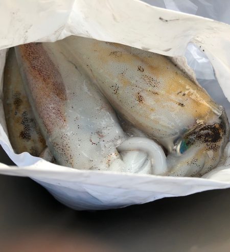 あみや渡船 JIGBOY 釣果