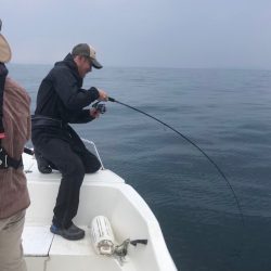 「LaGooN」蒼陽丸 日和号 釣果