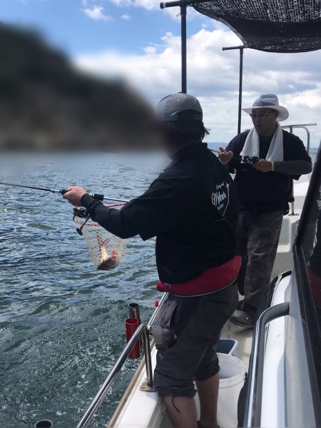 遊漁船メテオ 釣果