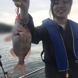 遊漁船メテオ 釣果