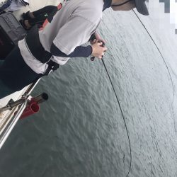 遊漁船メテオ 釣果