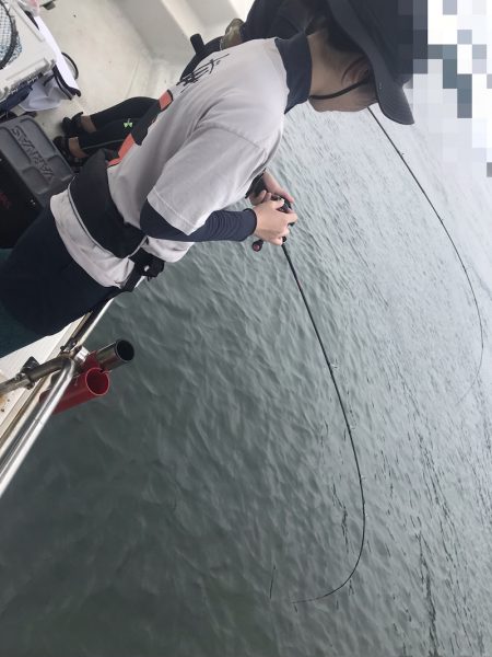 遊漁船メテオ 釣果