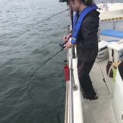 遊漁船メテオ 釣果