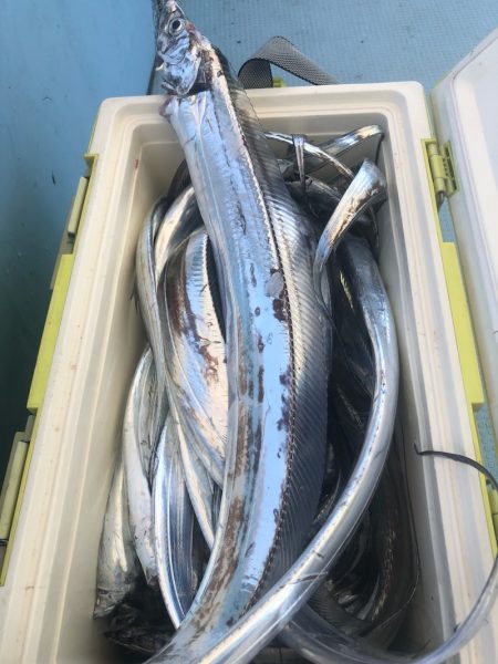 岡田釣船 八英丸 釣果