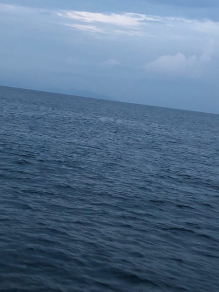 あみや渡船 JIGBOY 釣果