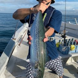 ランスルー 釣果