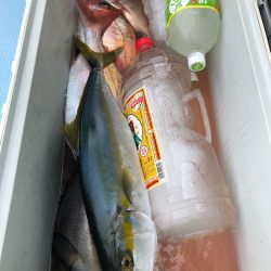 第二八坂丸 釣果