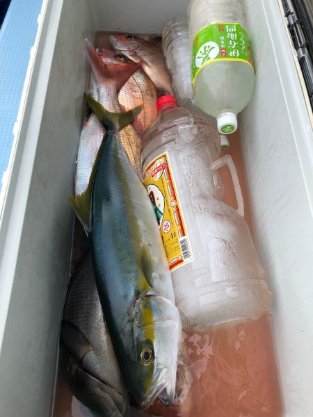 第二八坂丸 釣果