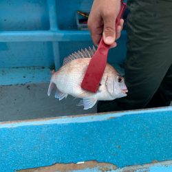 みやけ丸 釣果