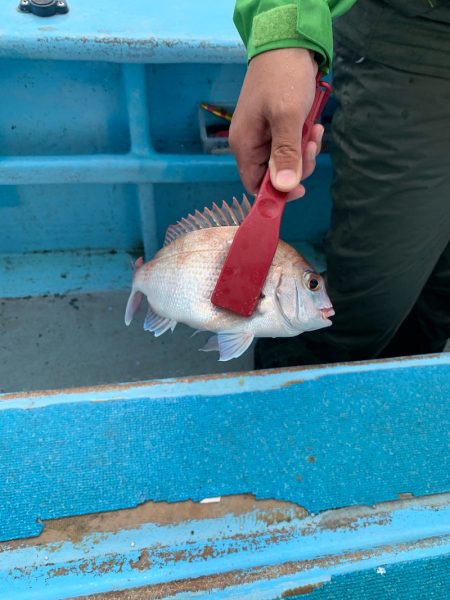 みやけ丸 釣果