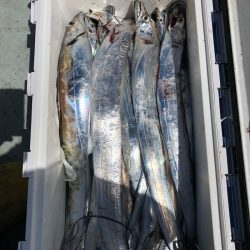 フィッシング キッタカ 釣果