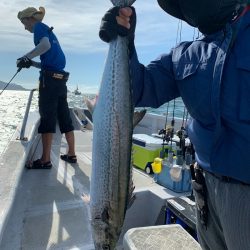 ランスルー 釣果