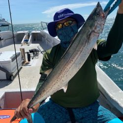 ランスルー 釣果