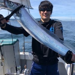 ビッグファイター 釣果