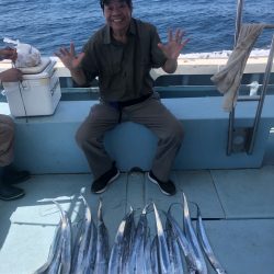 岡田釣船 八英丸 釣果