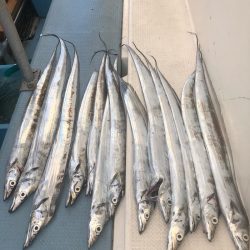 岡田釣船 八英丸 釣果