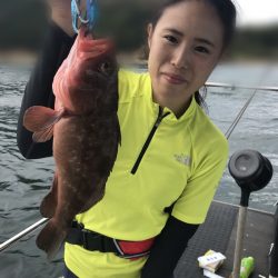 遊漁船メテオ 釣果