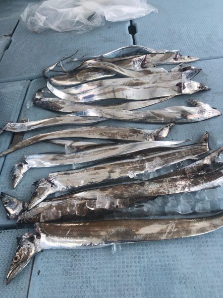 岡田釣船 八英丸 釣果