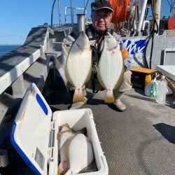 シーランチ 釣果