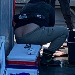 シーランチ 釣果