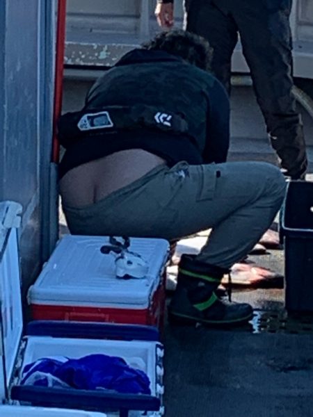 シーランチ 釣果