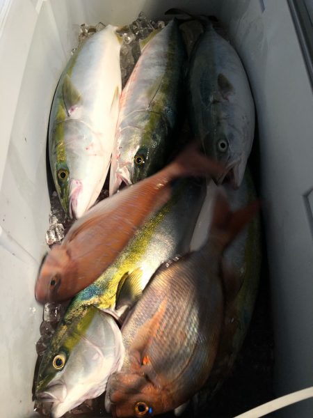 第二八坂丸 釣果