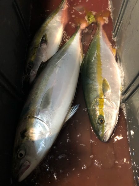 第二八坂丸 釣果