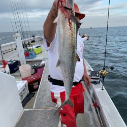 ランスルー 釣果