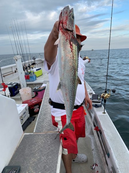 ランスルー 釣果