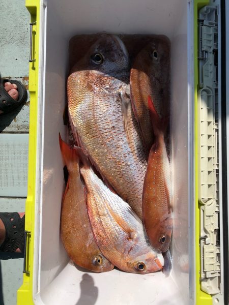 フィッシング　キッタカ 釣果